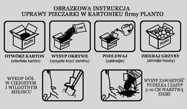 piktogramy do pieczarki33