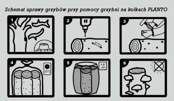 piktogramyistrukcjakolki