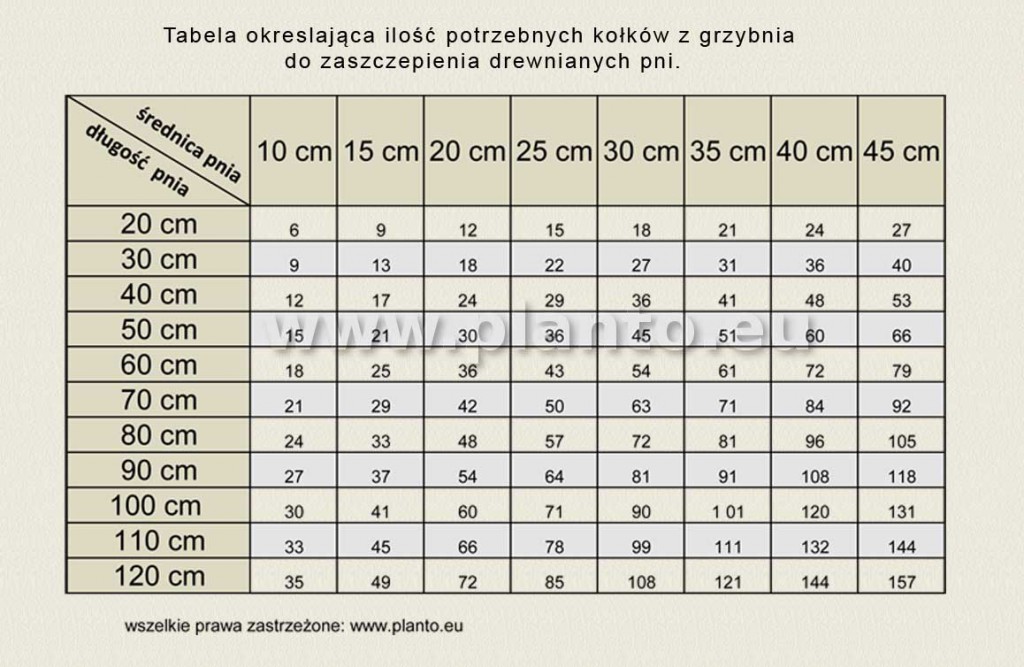 tabelailokokw