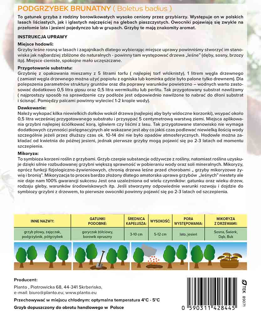 Podgrzybek brunatny grzybnia mikoryzowa. - obrazek 5