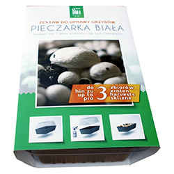 grzybnia pieczarki białej