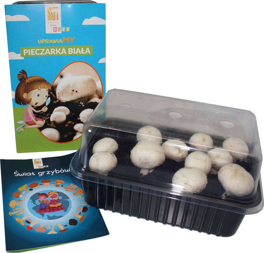Pieczarka biała zestaw edukacyjny