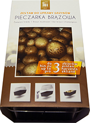 grzybnia pieczarki brązowej