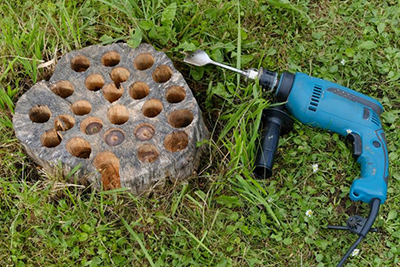 Grzybnia do rozkładu pni i korzeni 750ML - obrazek 6