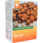 Pholiota nameko