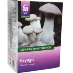 Pleurotus eryngii