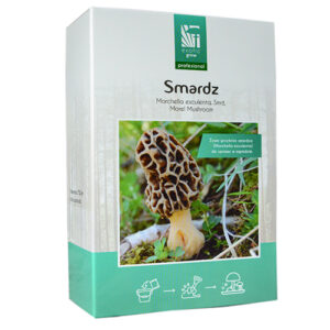 Smardz grzybnia do ogrodu 750ml