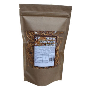 Cordyceps - grzyb suszony 100g