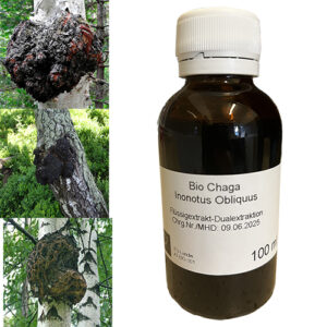 Chaga Inonotus obliquus ekstrakt 100ml BIO