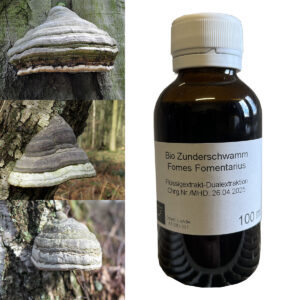 Hubiak pospolity Fomes fomentarius ekstrakt 100 ml BIO