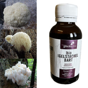 Soplówka jeżowata Hericium erinaceus ekstrakt 100ml BIO