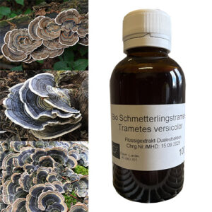Wrośniak różnobarwny Trametes versicolor BIO ekstrakt 100 ml