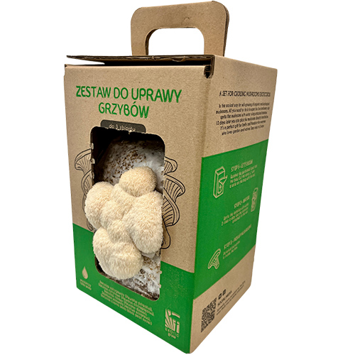 Soplówka jeżowata MUSHROOMS GROW KIT - obrazek 5