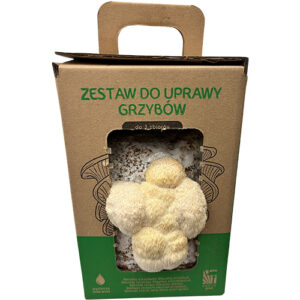Soplówka jeżowata MUSHROOMS GROW KIT