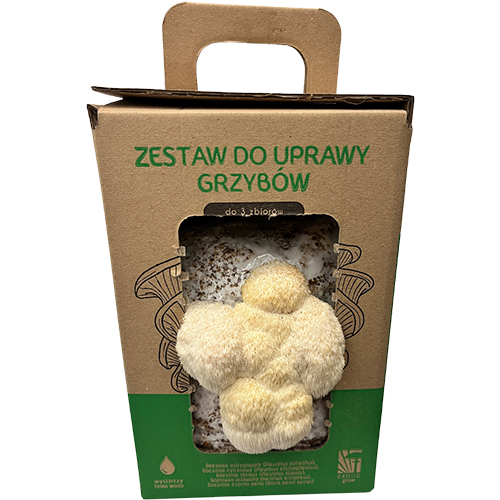 Soplówka jeżowata MUSHROOMS GROW KIT