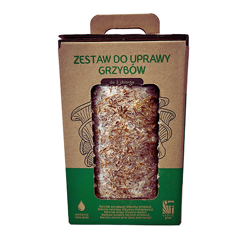 Soplówka jeżowata MUSHROOMS GROW KIT - obrazek 4