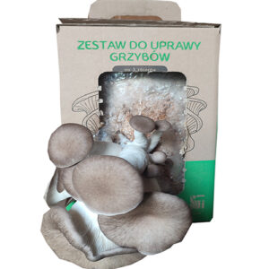 Black Pearl Oyster MUSHROOMS GROW KIT