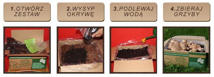Pieczarka brązowa 15l MUSHROOMS GROW KIT - obrazek 6