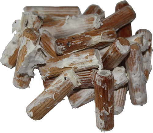 Chaga - Inonotus obliquus, grzybnia na kołkach 20 szt. - obrazek 6