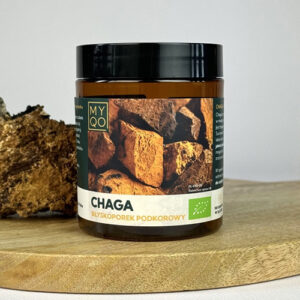 chaga błyskoporek podkorowy