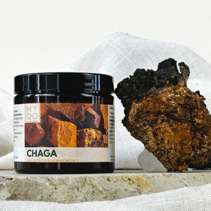 chaga