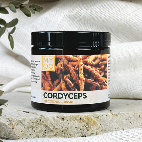 cordyceps