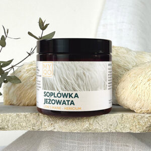 soplówka jeżowata