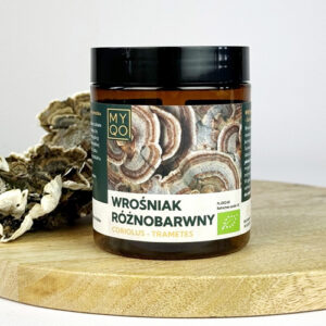 BIO Wrośniak Różnobarwny - Coriolus Versicolor - Trametes versicolor - 100 g