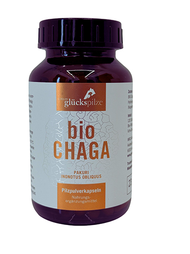 chaga